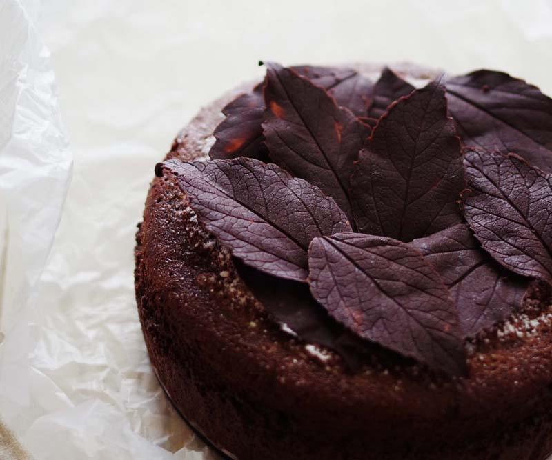 落葉古典巧克力蛋糕——好吃到讓人尖叫（附巧克力葉子的做法）的做法 步骤13