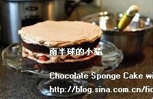 巧克力草莓奶油蛋糕的做法 步骤11