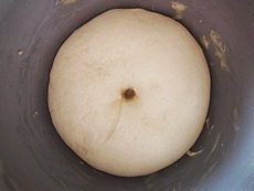 蘑菇頭紅豆沙麪包的做法 步骤2