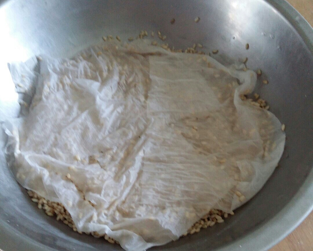 糙米發芽飯的做法 步骤3