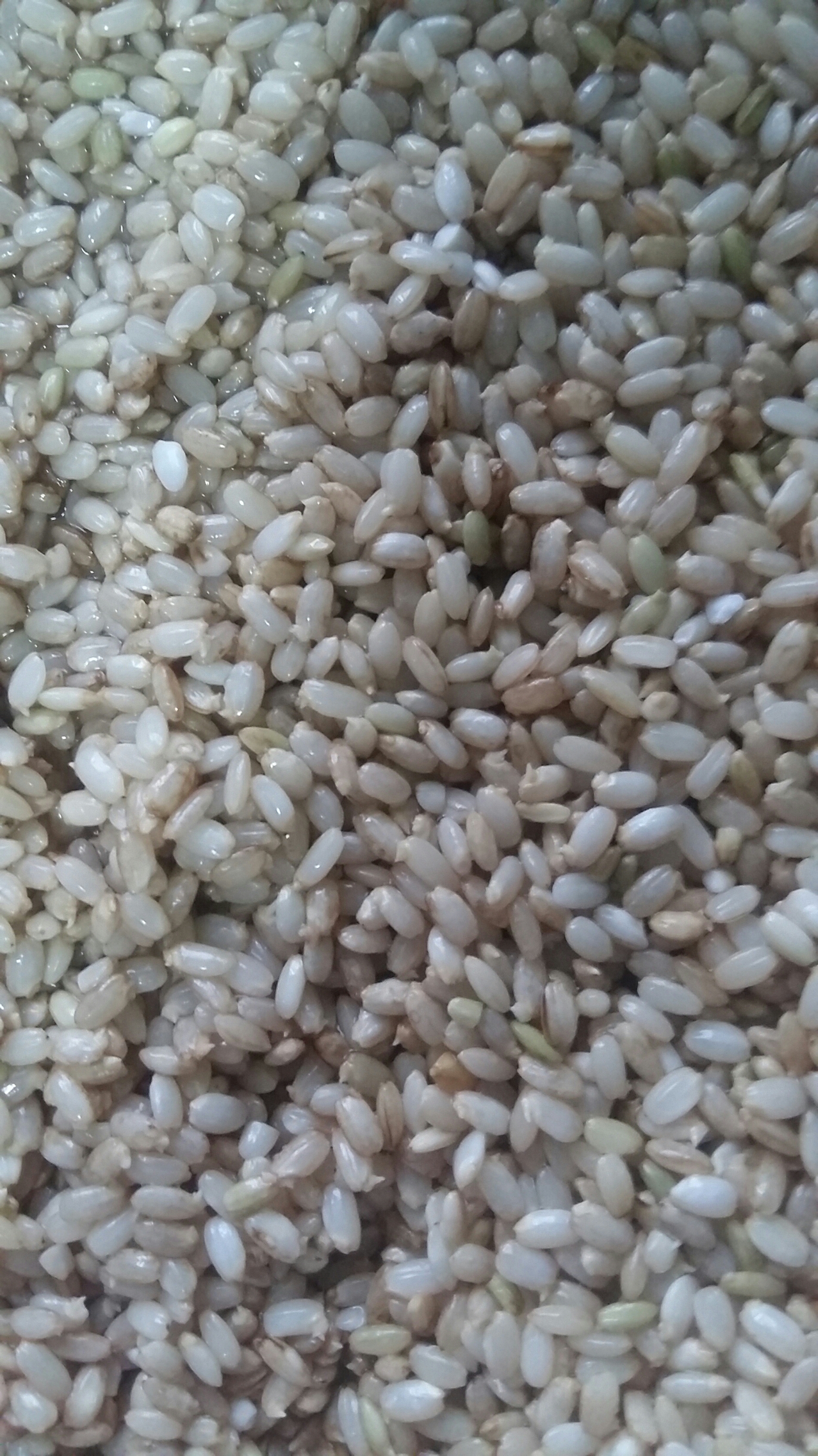 糙米發芽飯的做法 步骤4