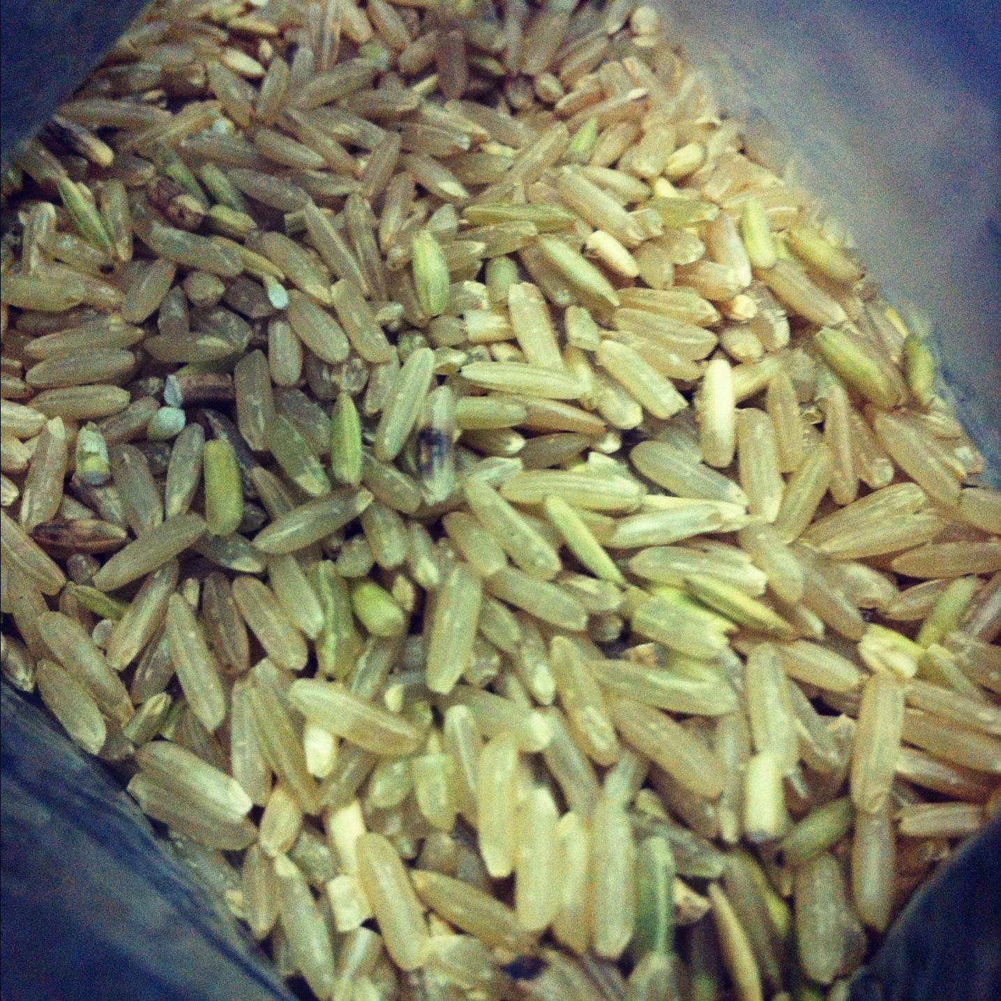 瘦身糙米燕麥南瓜飯的做法 步骤1