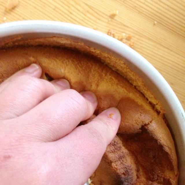 蔓越莓酸奶戚風蛋糕 附手脫模方法的做法 步骤15