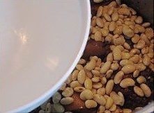 醬色豬蹄燉黃豆的做法 步骤10
