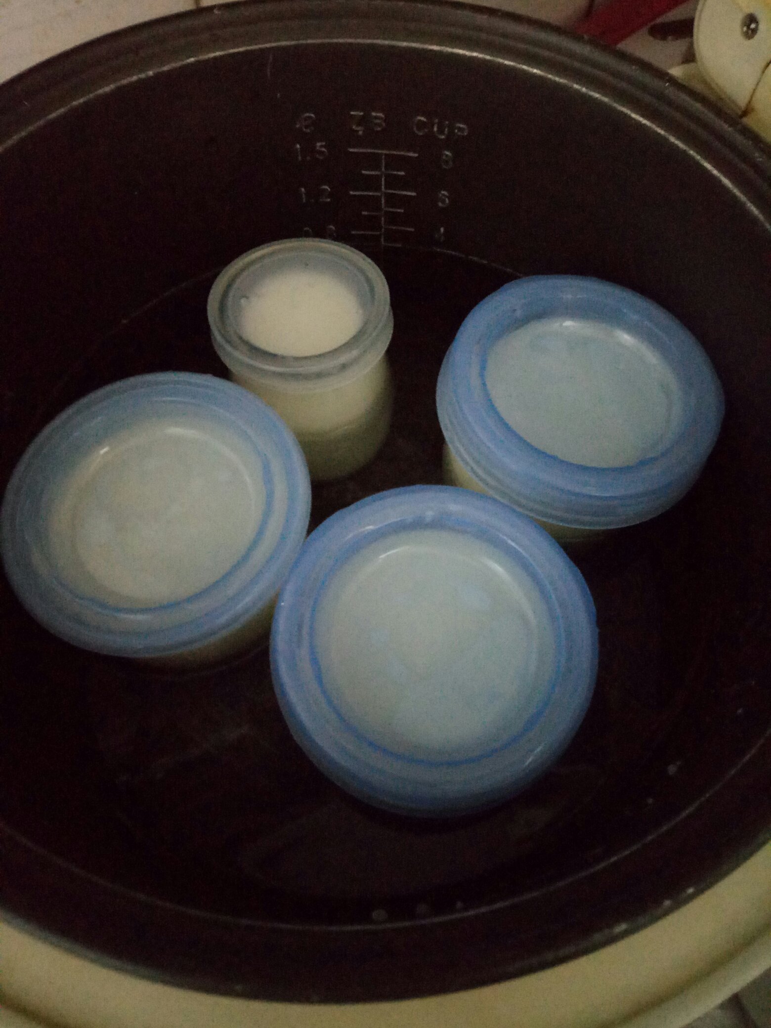 自制酸奶電飯鍋版的做法 步骤1