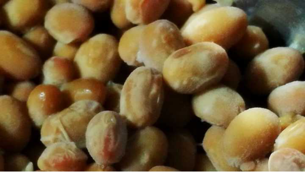 為什麼納豆是日本的國寶呢？還天天吃，其實納豆源自中國~自制納豆 • 圓滿素食的做法 步骤14