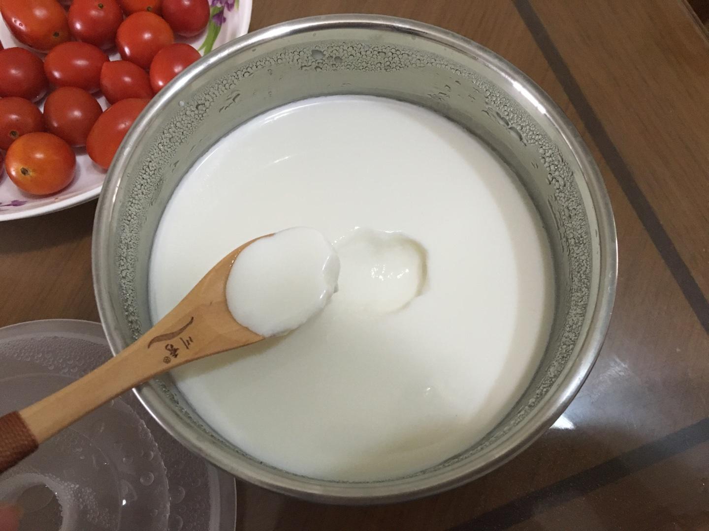 川秀酸奶機、菌粉自制酸奶的做法 步骤6