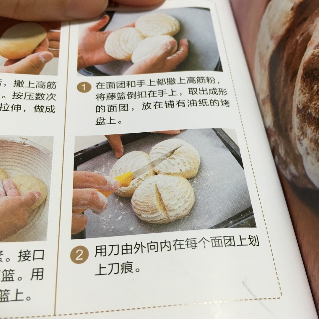 荻山和也的熟粉鄉村麪包（冷藏發酵版 附直接和麪版）的做法 步骤10