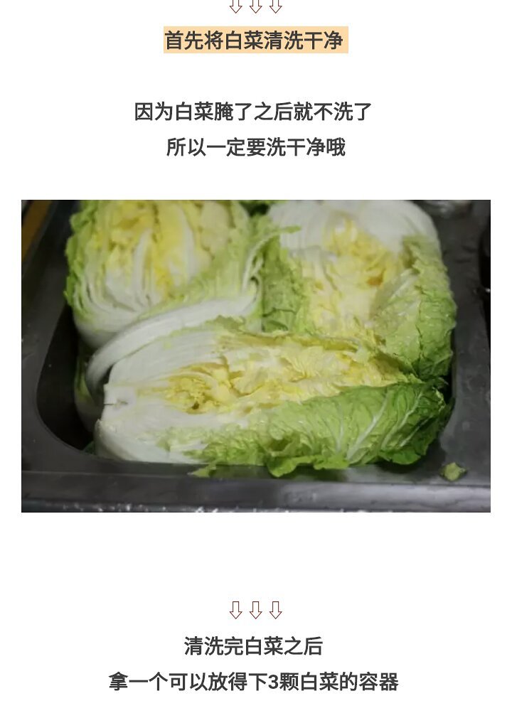 韓國泡菜的做法 步骤10
