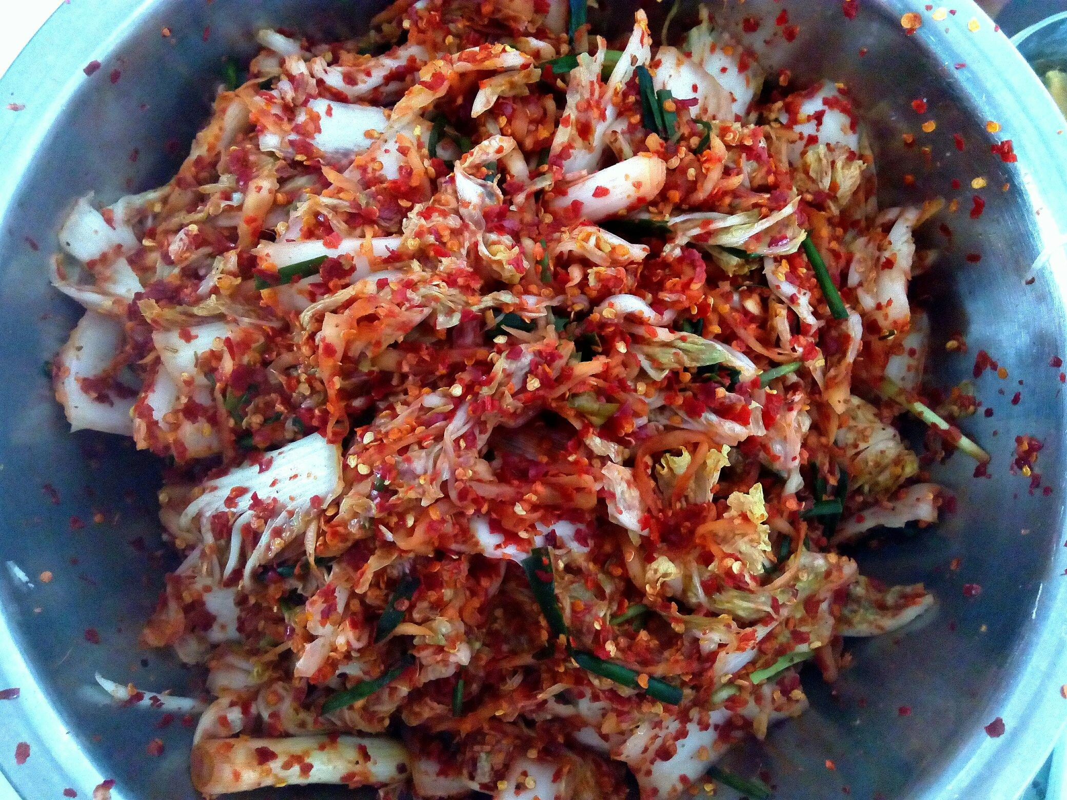 韓國泡菜的做法 步骤26