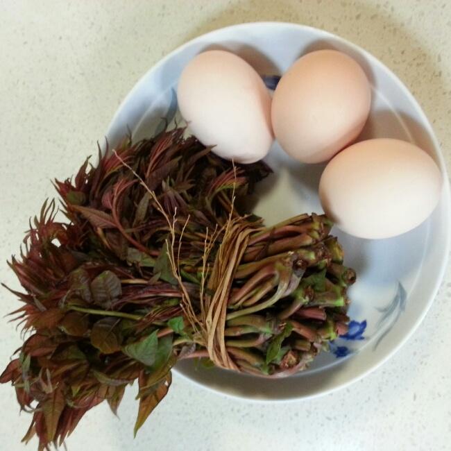 香椿煎蛋的做法 步骤1