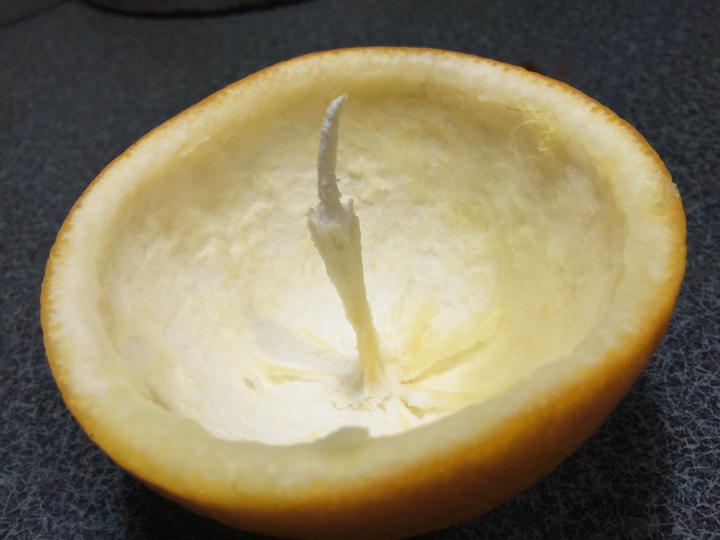 香橙果凍+小橘燈（創意手工）的做法 步骤6