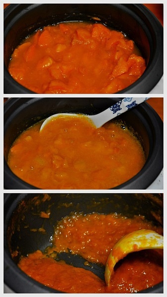 電飯鍋·蜂蜜杏子醬的做法 步骤2