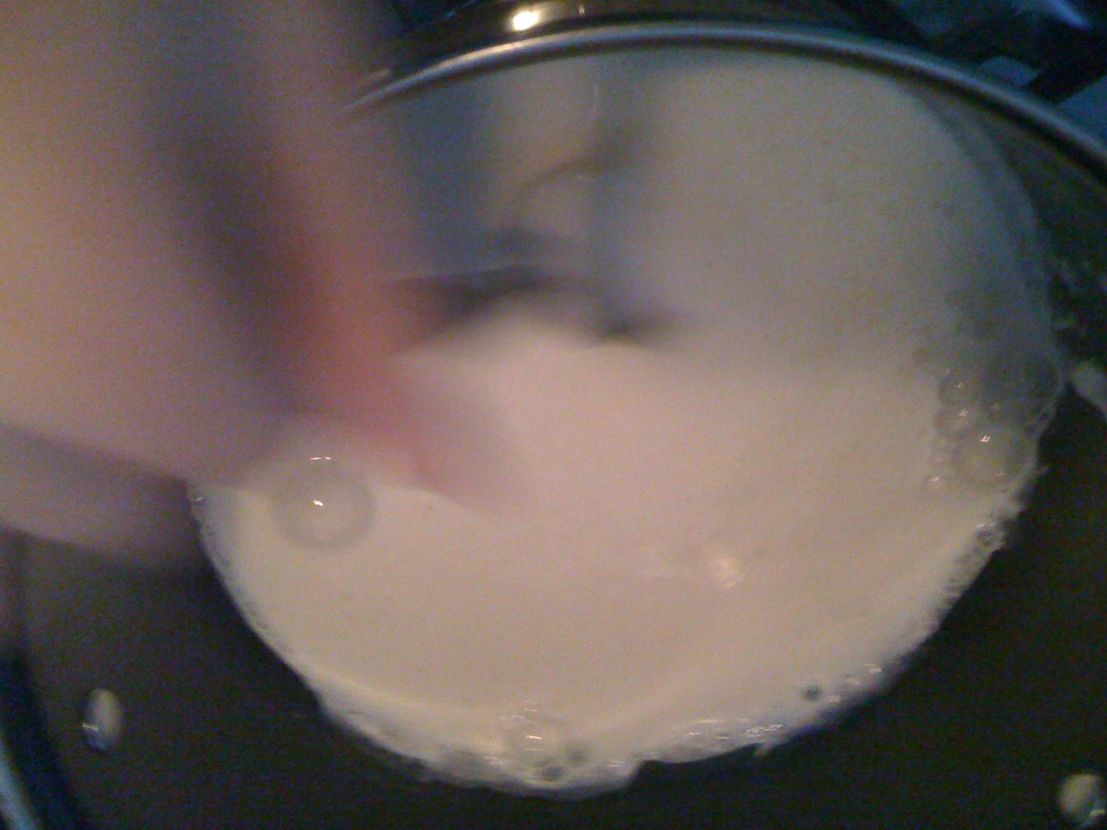 木瓜牛奶凍的做法 步骤4