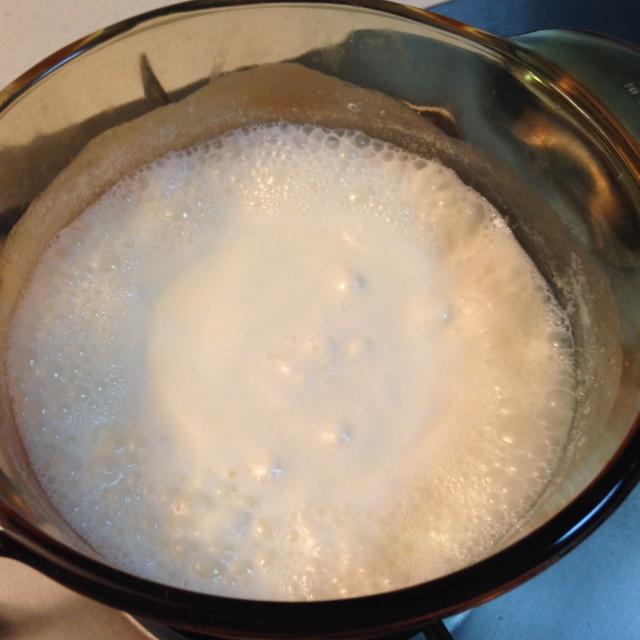 椰蓉牛奶小方的做法 步骤8