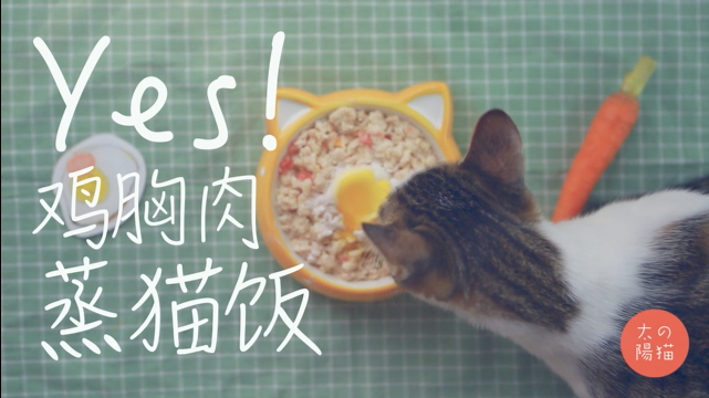 兩種貓飯（人也能吃） | 太陽貓早餐的做法 步骤8