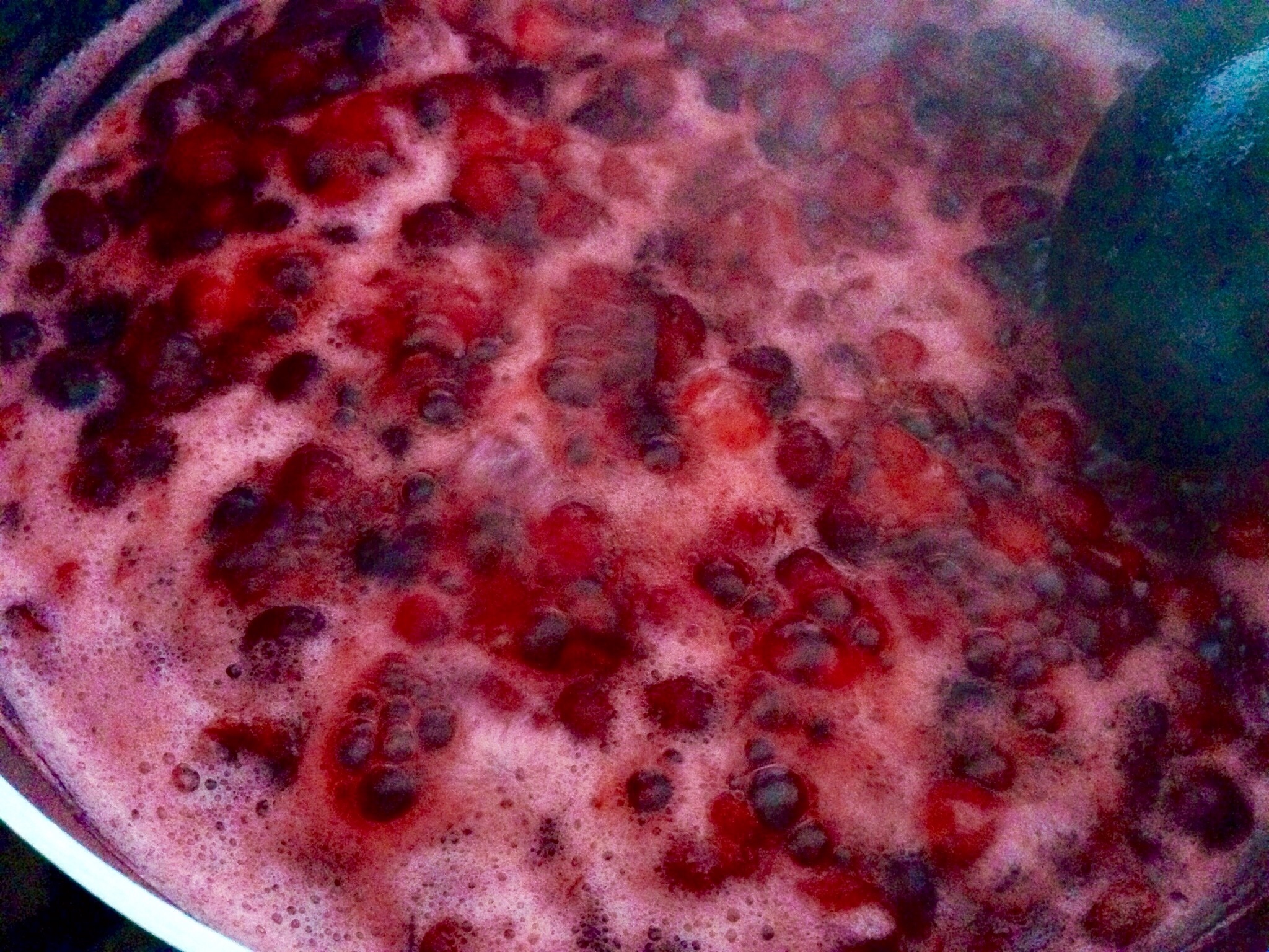 整顆果的蔓越莓醬（感恩節火雞配醬&吐司抹醬通用）的做法 步骤3