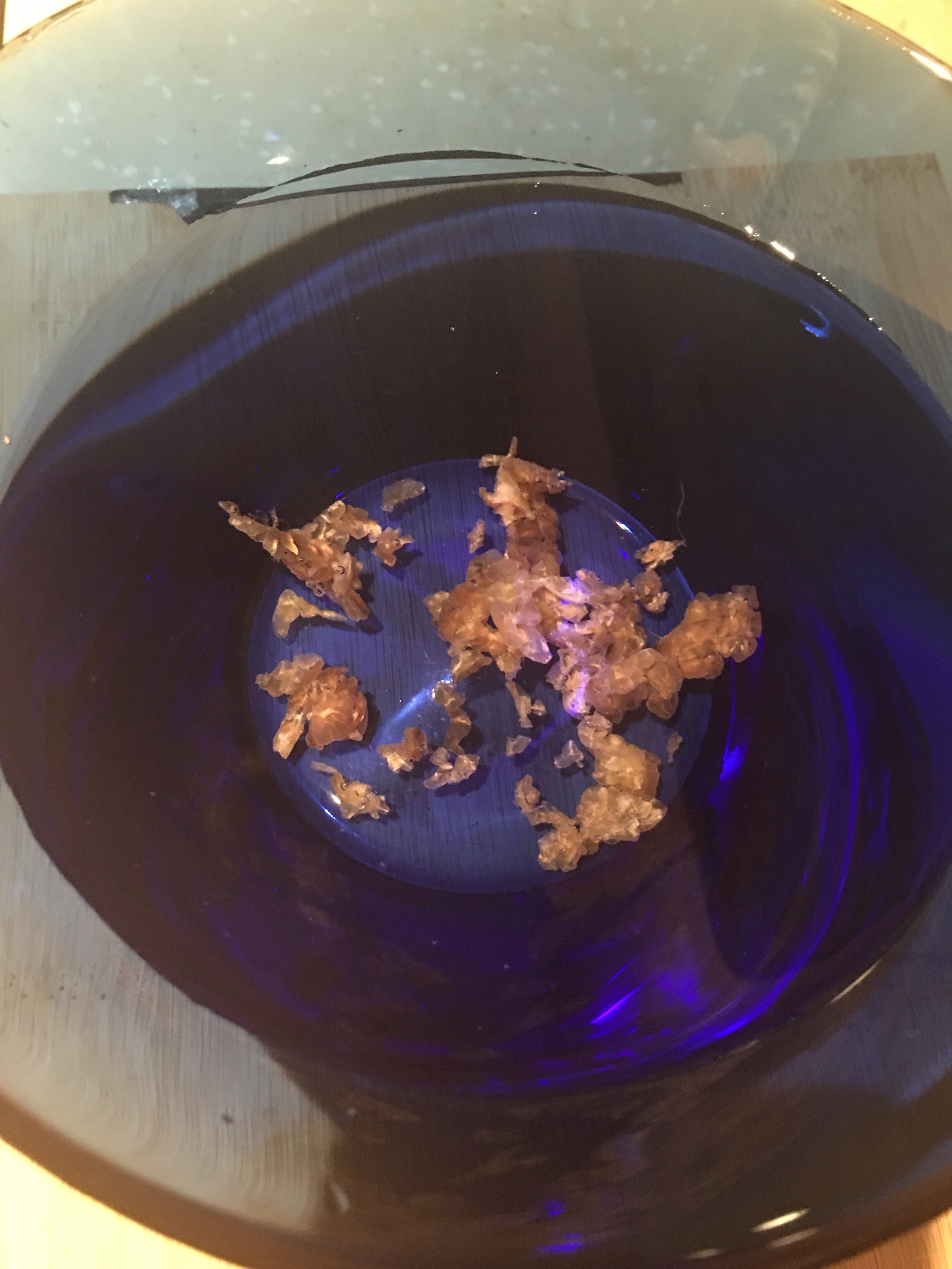 【低卡】桂香柚子燉雪蛤—電飯鍋簡易版的做法 步骤4