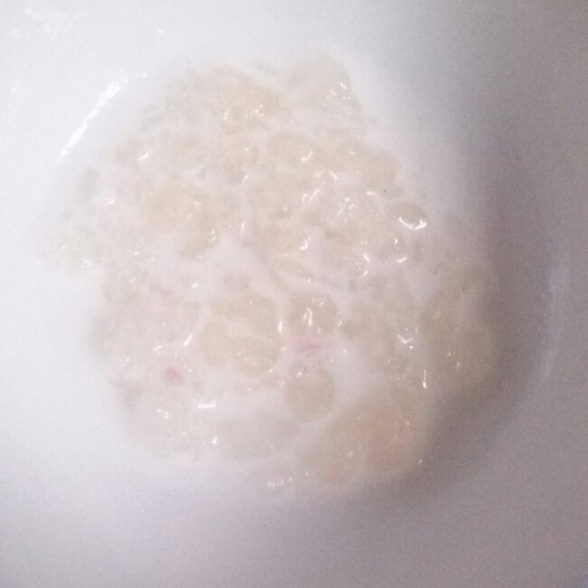 椰汁肉燉雪蛤美容養顏湯的做法 步骤1