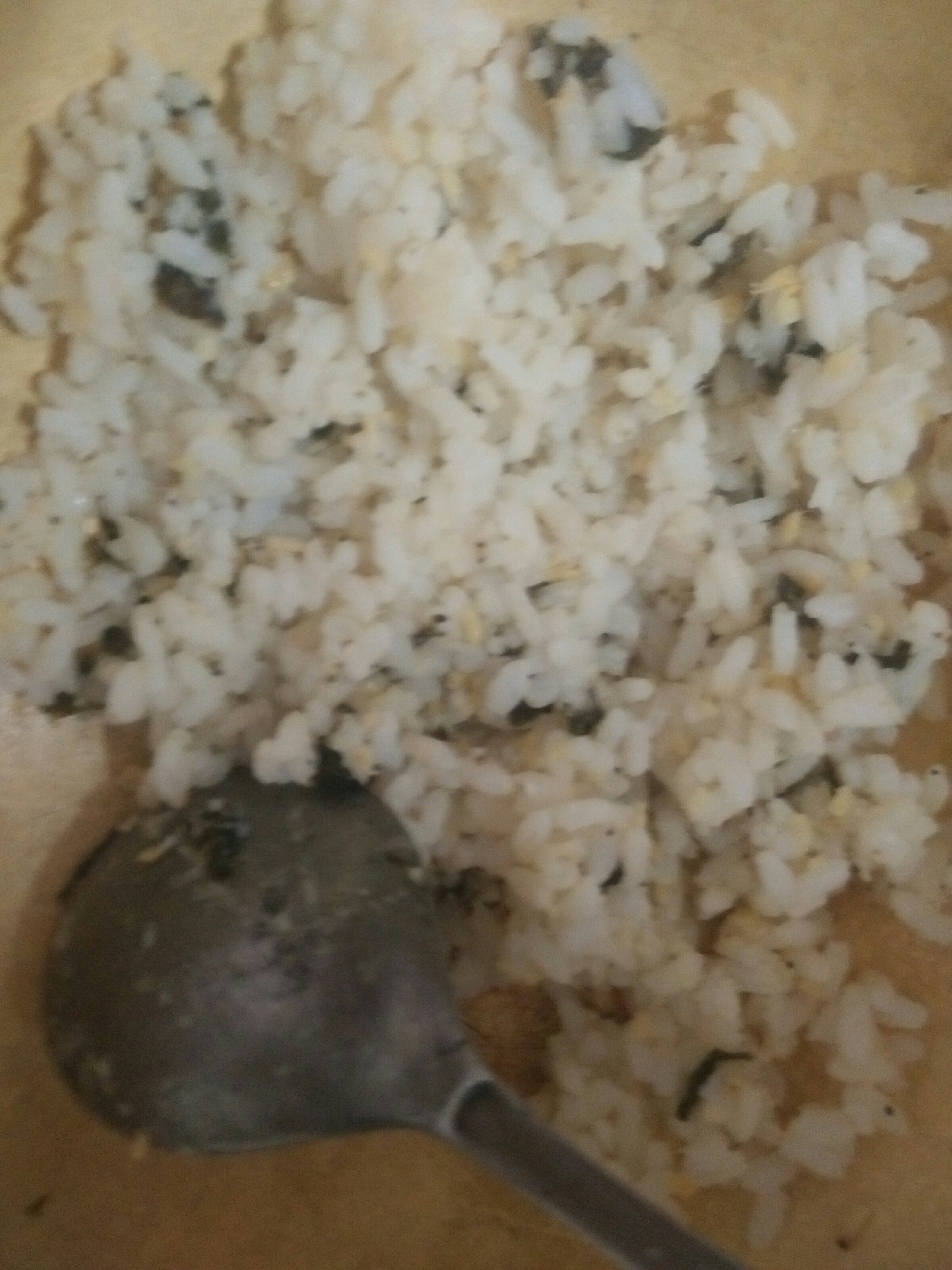 米飯糰子的做法 步骤1