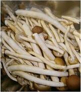茶樹菇幹鍋雞的做法 步骤3