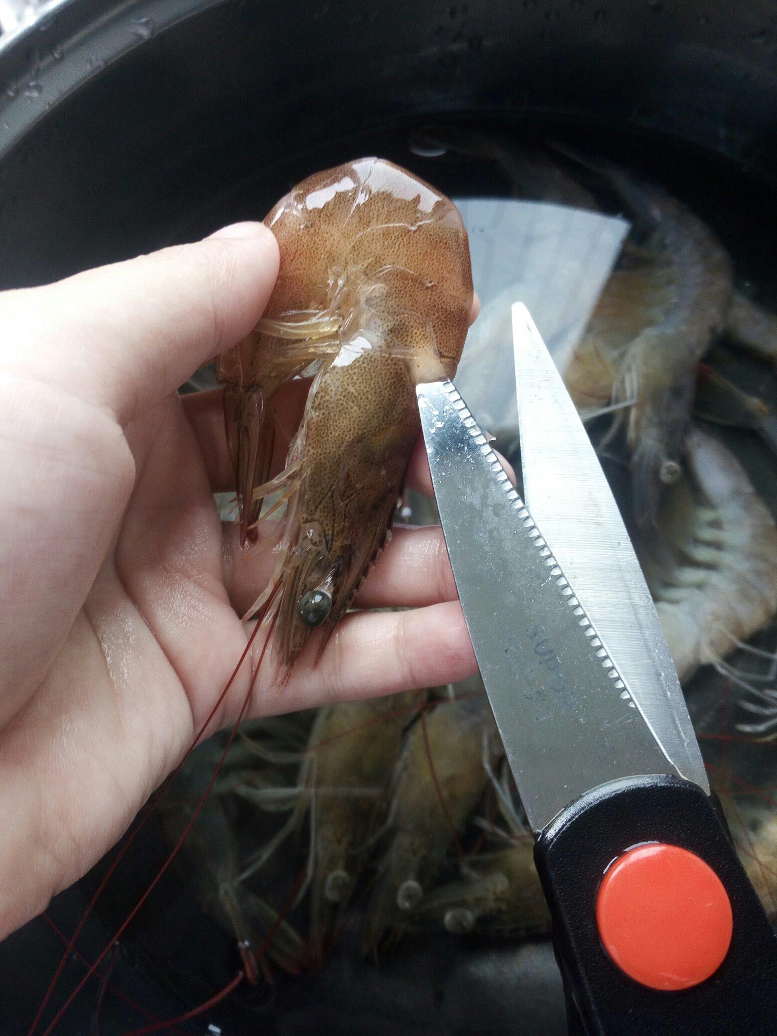 幹鍋魷魚蝦的做法 步骤1