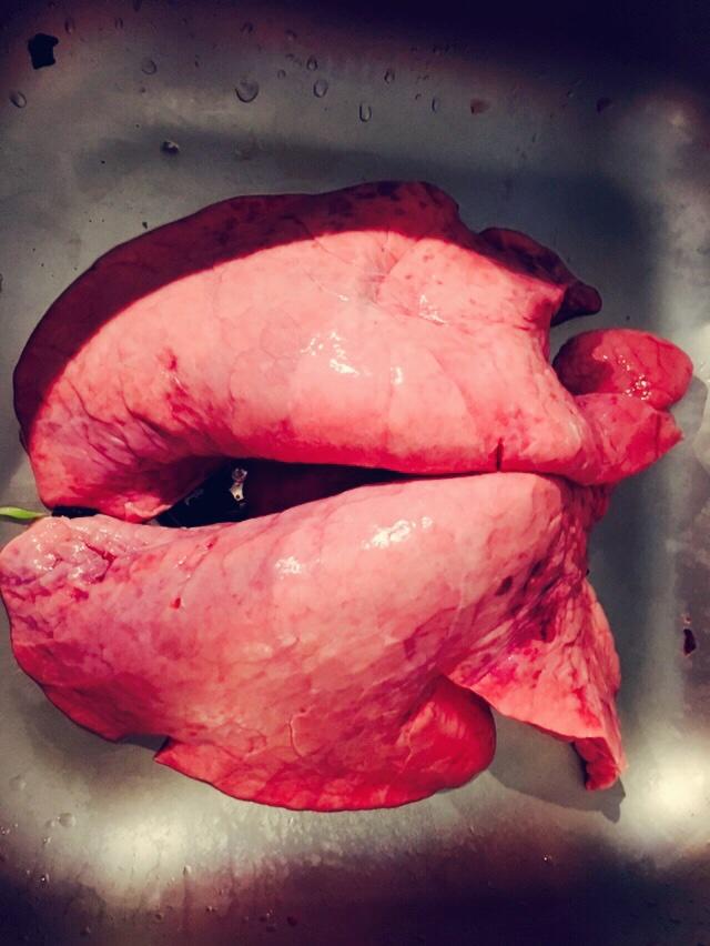 紅燒豬肺的做法 步骤1