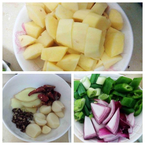 紅燒肥腸土豆（川香麻辣）的做法 步骤3