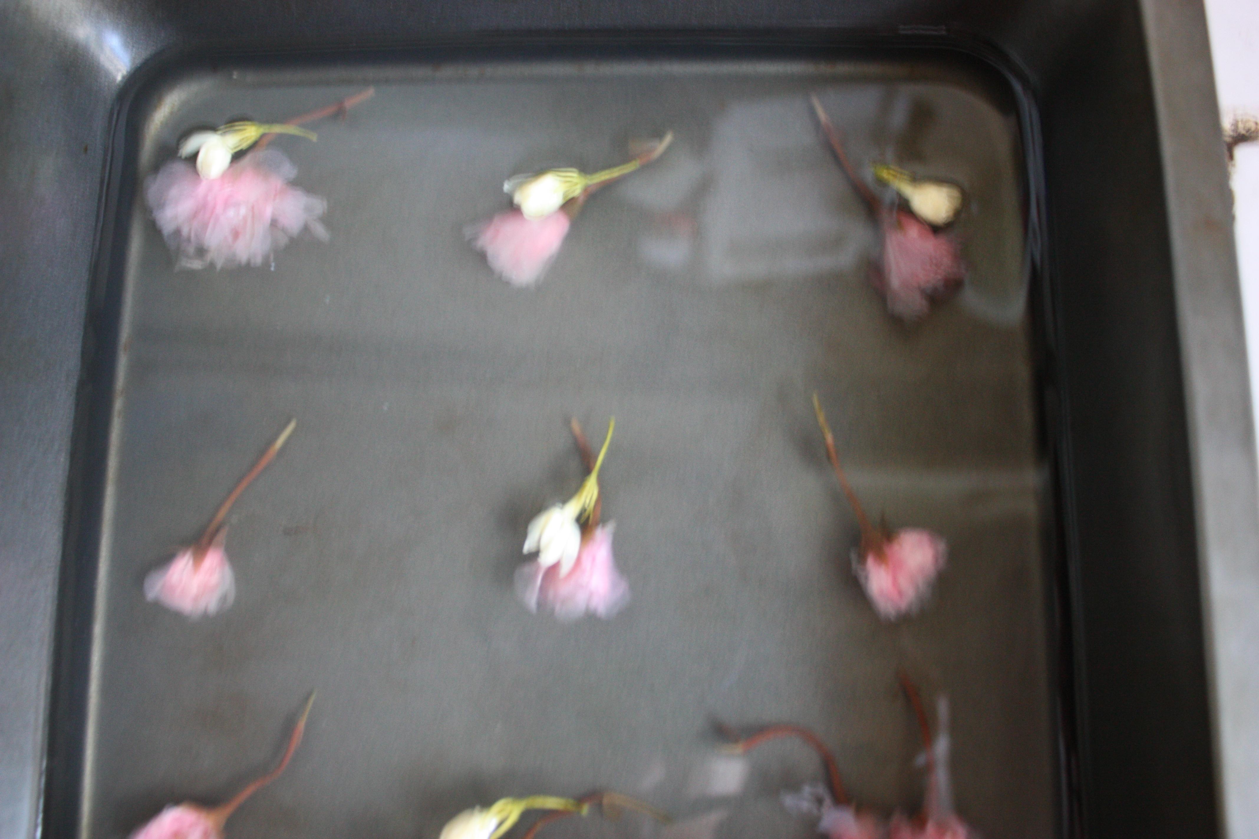 櫻花水晶皮凍的做法 步骤7