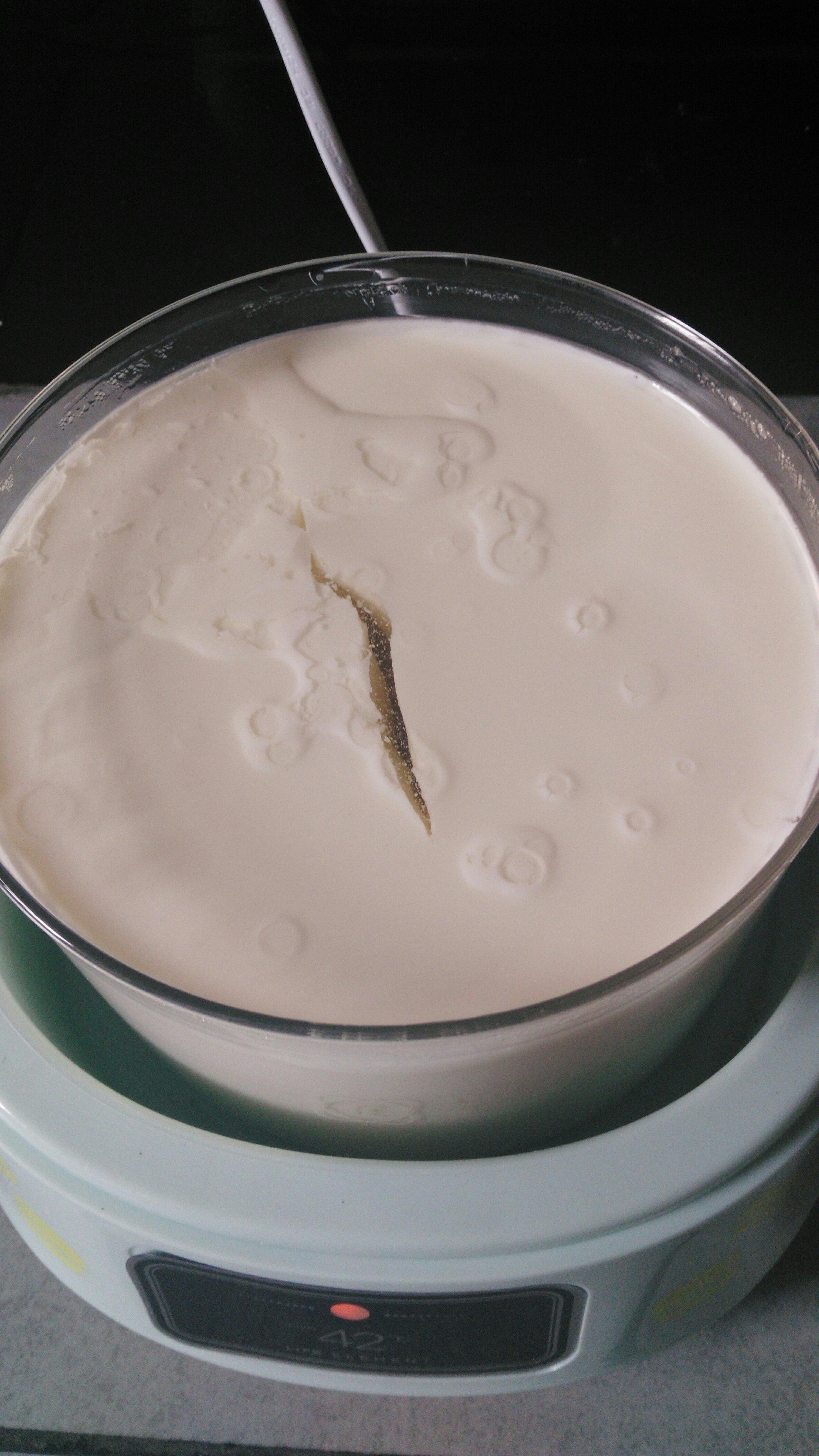自制酸奶的做法 步骤4
