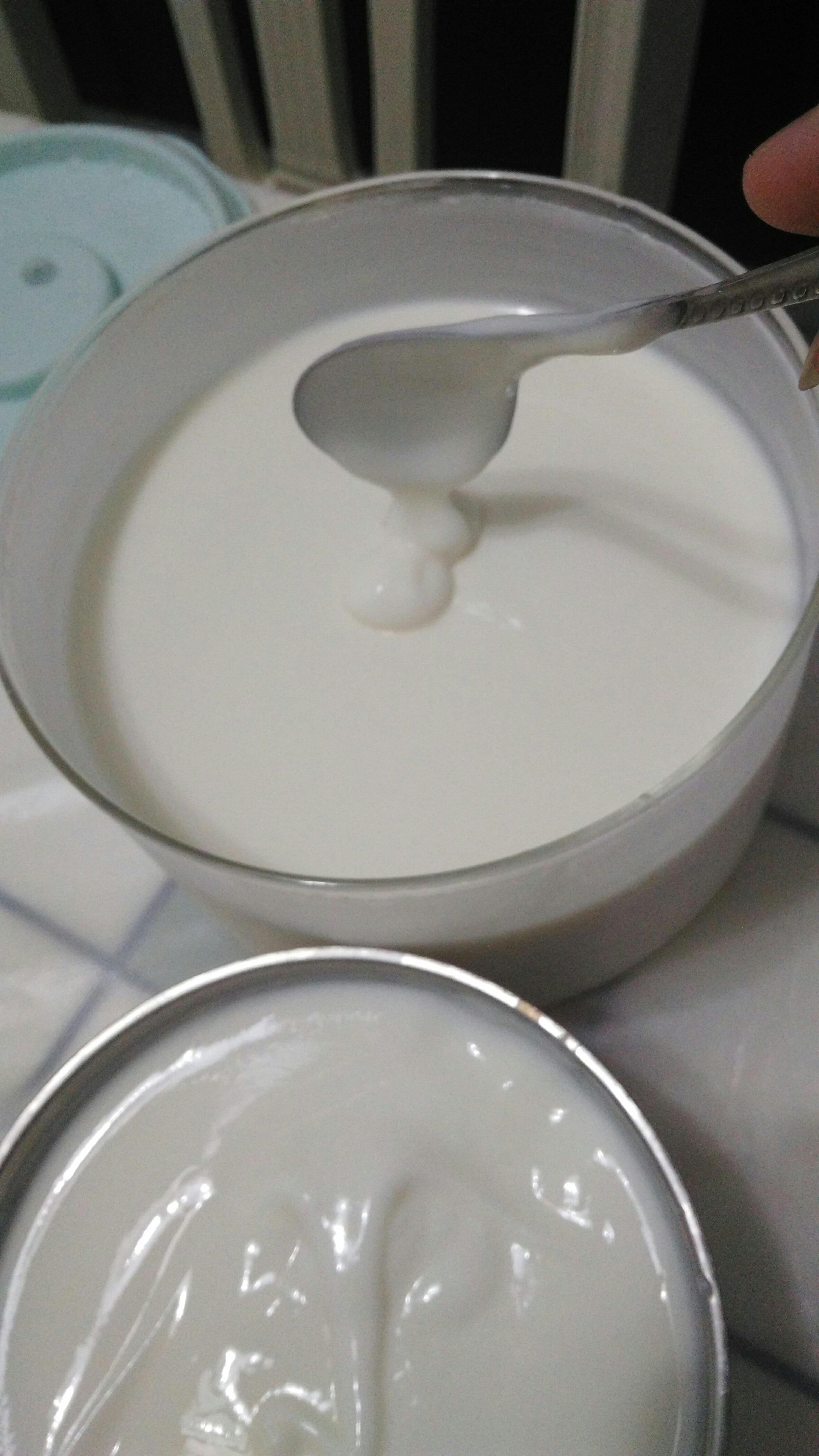 自制酸奶的做法 步骤8