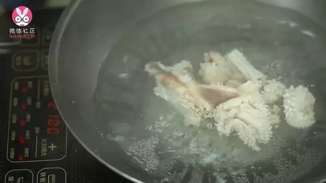 【微體兔菜譜】爆炒魷魚卷丨來自大海的開花魷魚的做法 步骤5