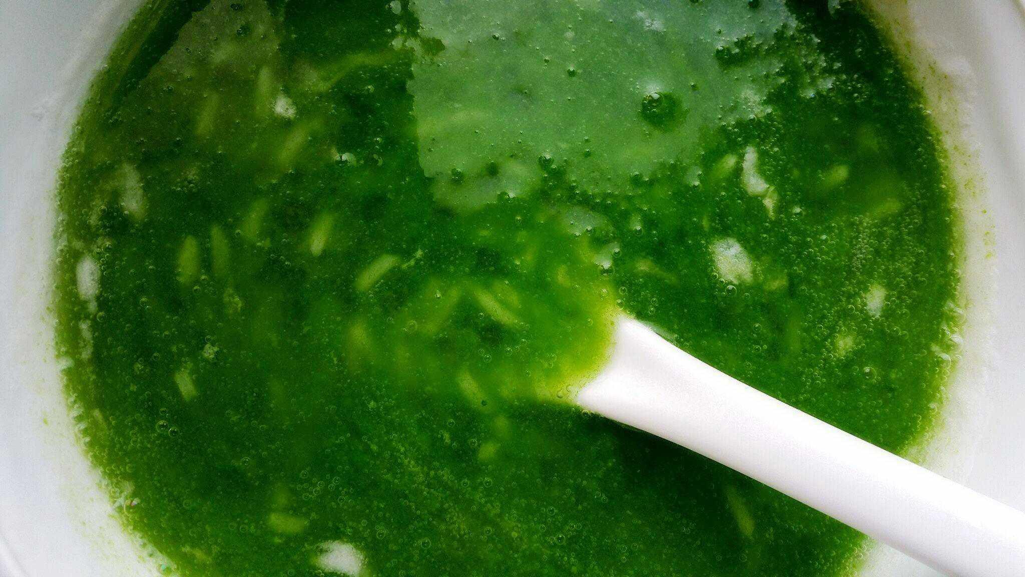 怎麼煮碧綠又有果凍質感的荷葉粥？丨荷葉羹 · 圓滿素食的做法 步骤5