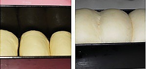 淡奶油北海道土司(湯種)的做法 步骤6