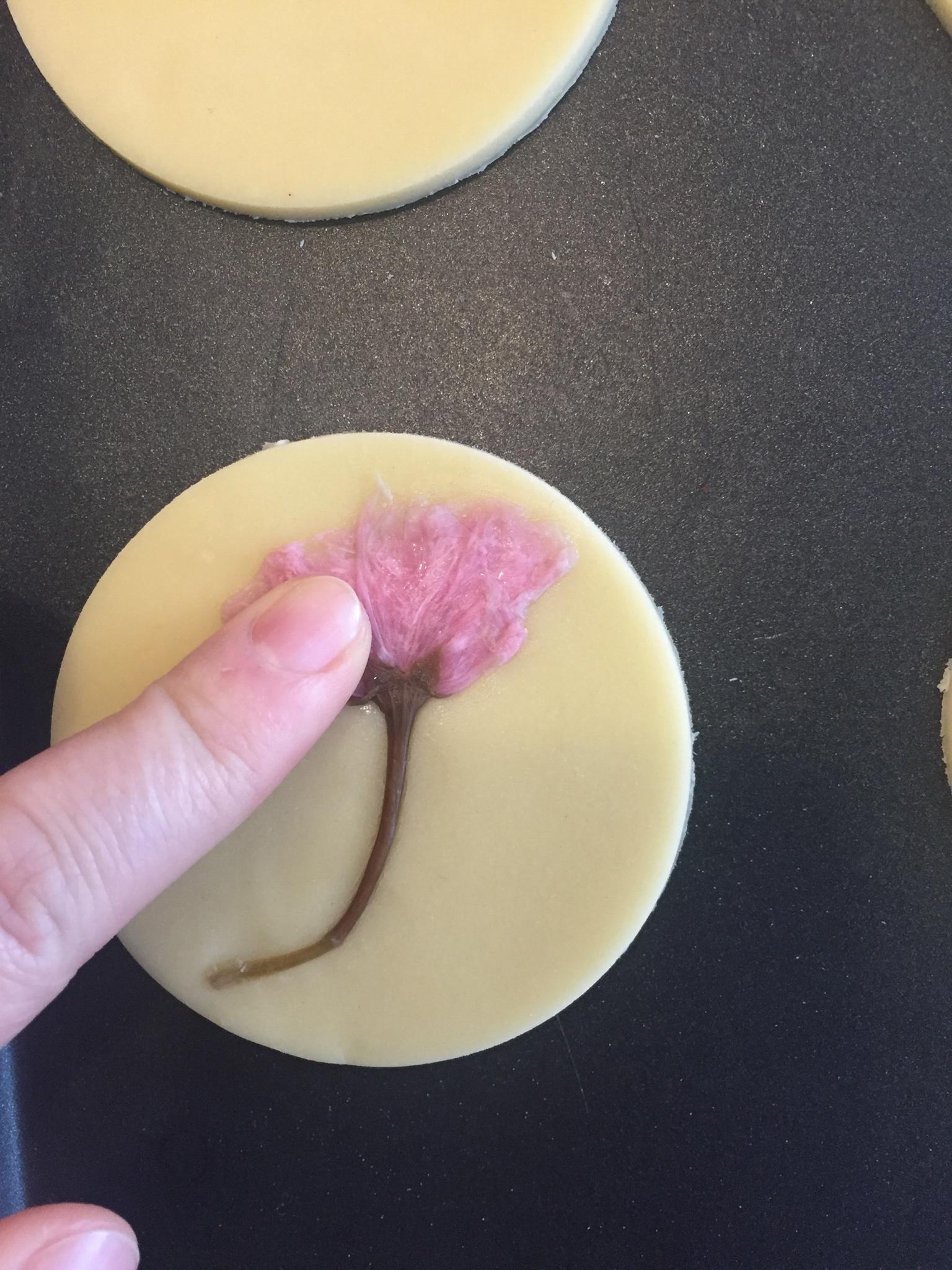 櫻花曲奇餅乾的做法 步骤9