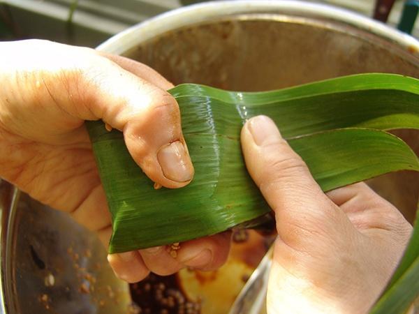 鹹味八寶素粽（附超詳細小腳粽子包法）的做法 步骤5