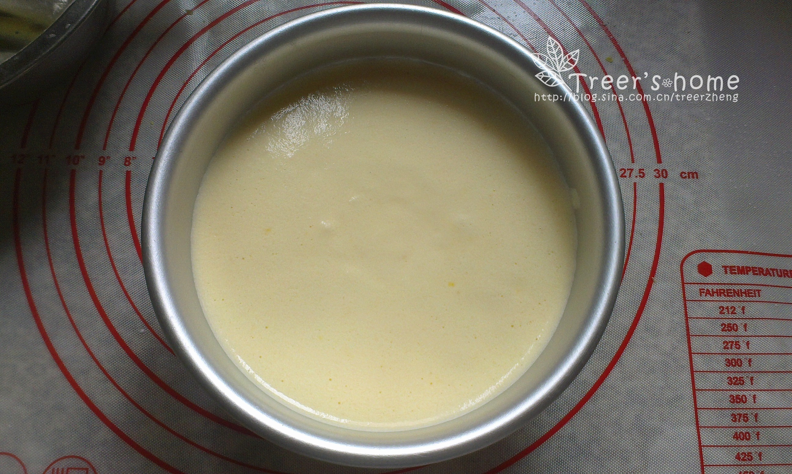 小清新酸奶檸檬蛋糕（3蛋6寸）的做法 步骤10