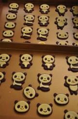 小熊貓餅乾的做法 步骤9