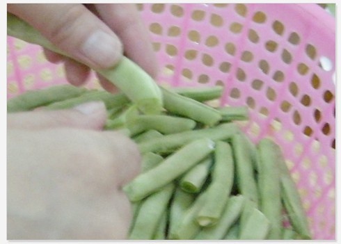 乾煸四季豆的做法 步骤2