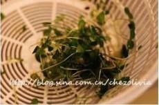 清爽排毒菌類蔬菜沙拉的做法 步骤2