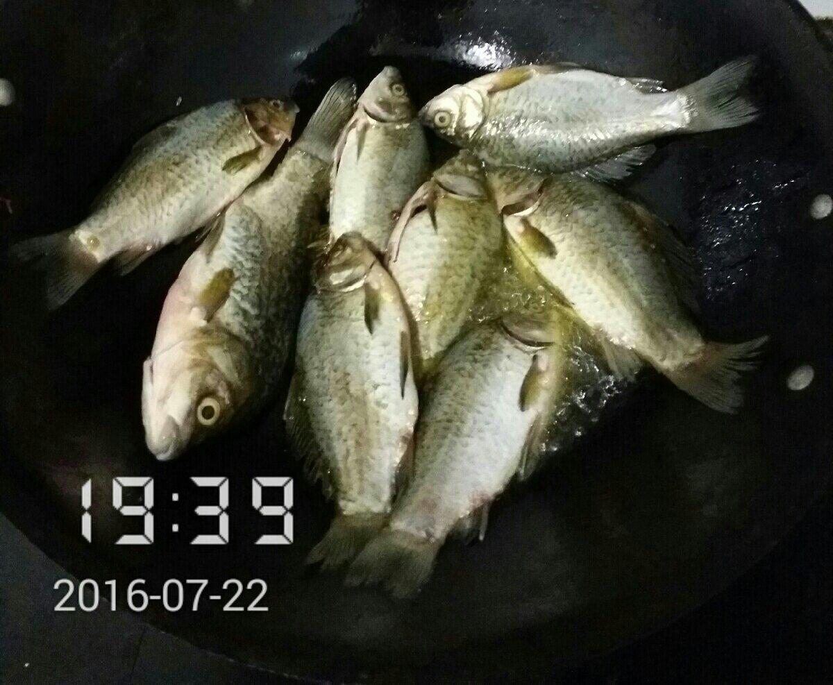 紅燒草魚的做法 步骤4