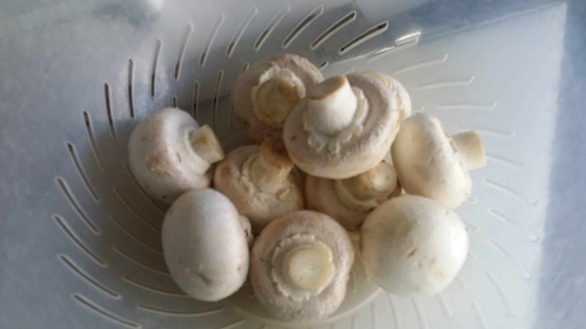 蘑菇焗黃豆的做法 步骤2