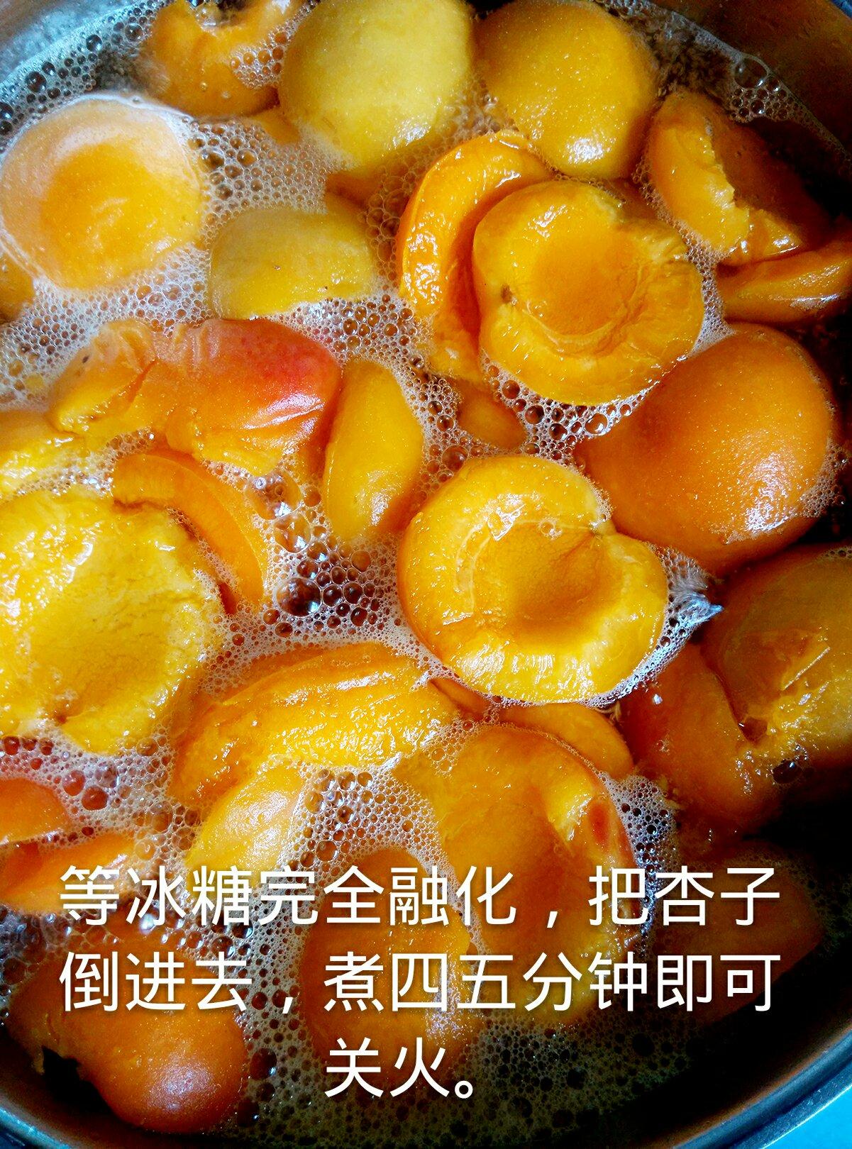 糖水杏子罐頭的做法 步骤5
