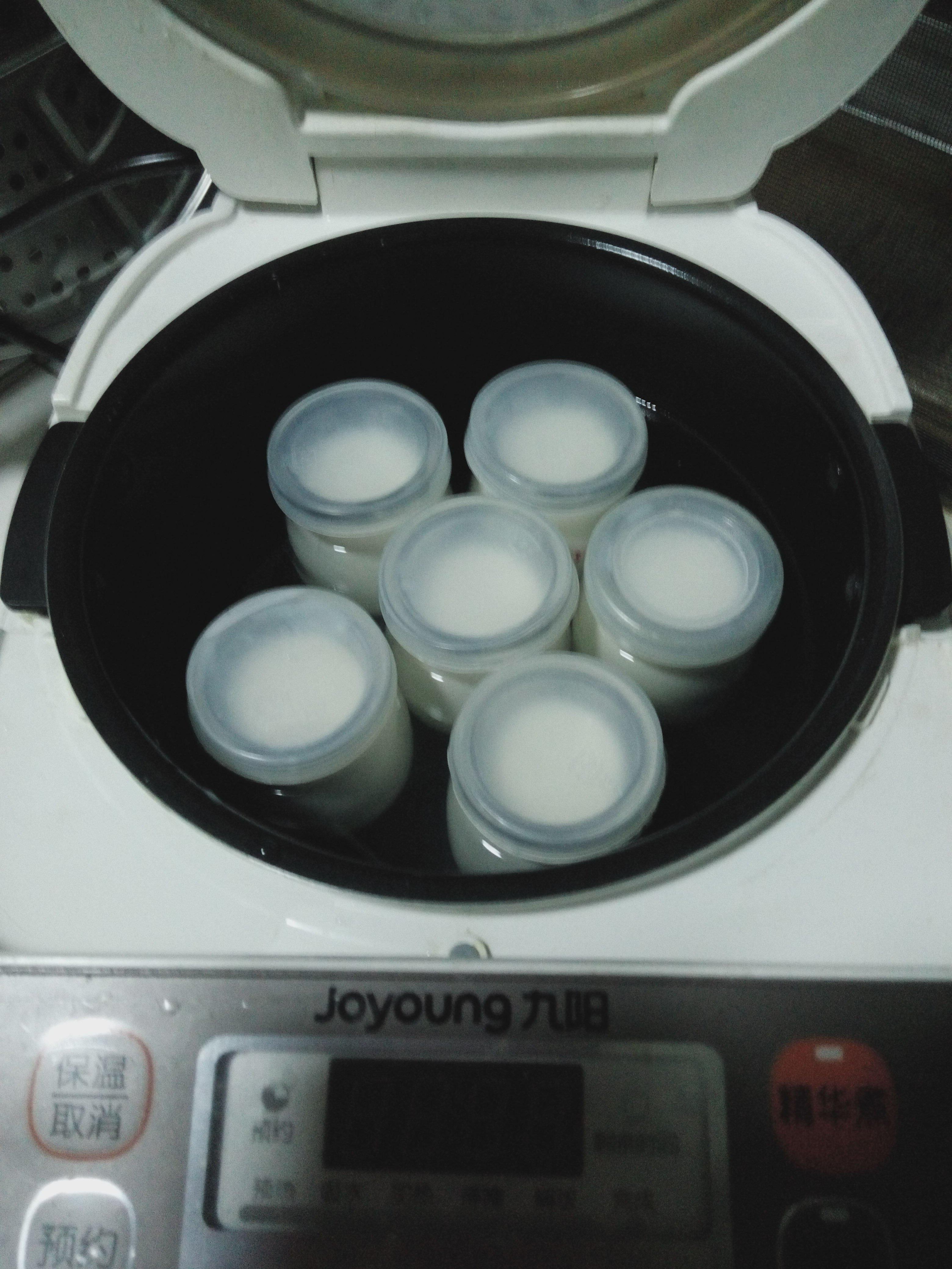 不用酸奶機和菌種———超詳解自已在家做酸奶的做法 步骤9
