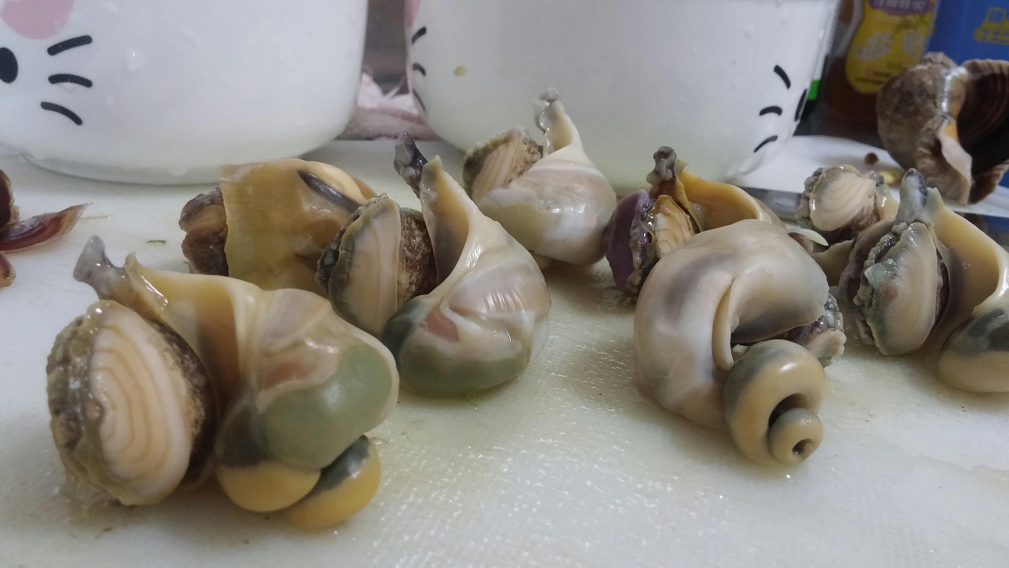 芹菜海螺豬肉餃子的做法 步骤4