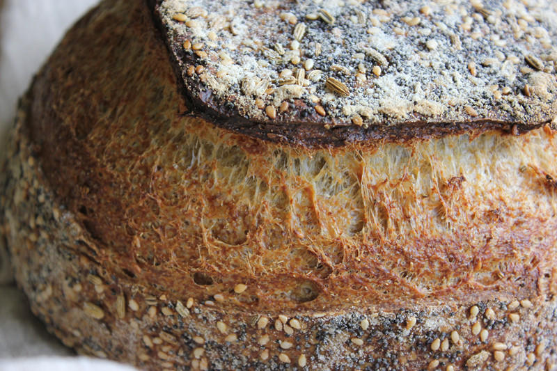 【Tartine Bread】Semolina芝麻小茴香籽天然酵種歐包（附關於麪糰粘在藤籃裡倒不出來的問題）的做法 步骤10
