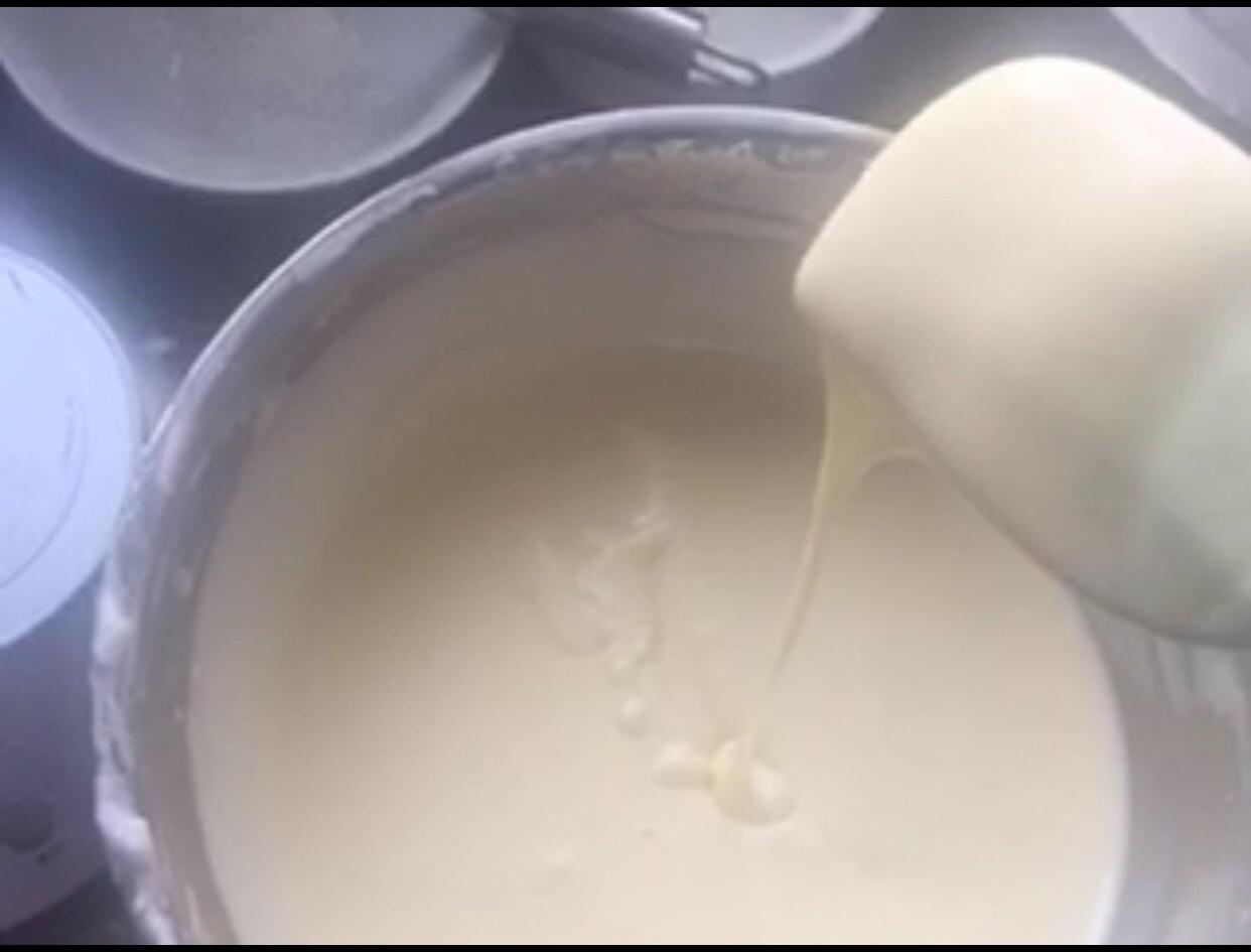 輕乳酪椰漿蛋糕，溫柔的味道的做法 步骤12