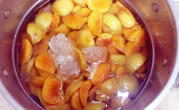 毛驢廚房--手工罐頭--農家黃杏罐頭的做法 步骤7