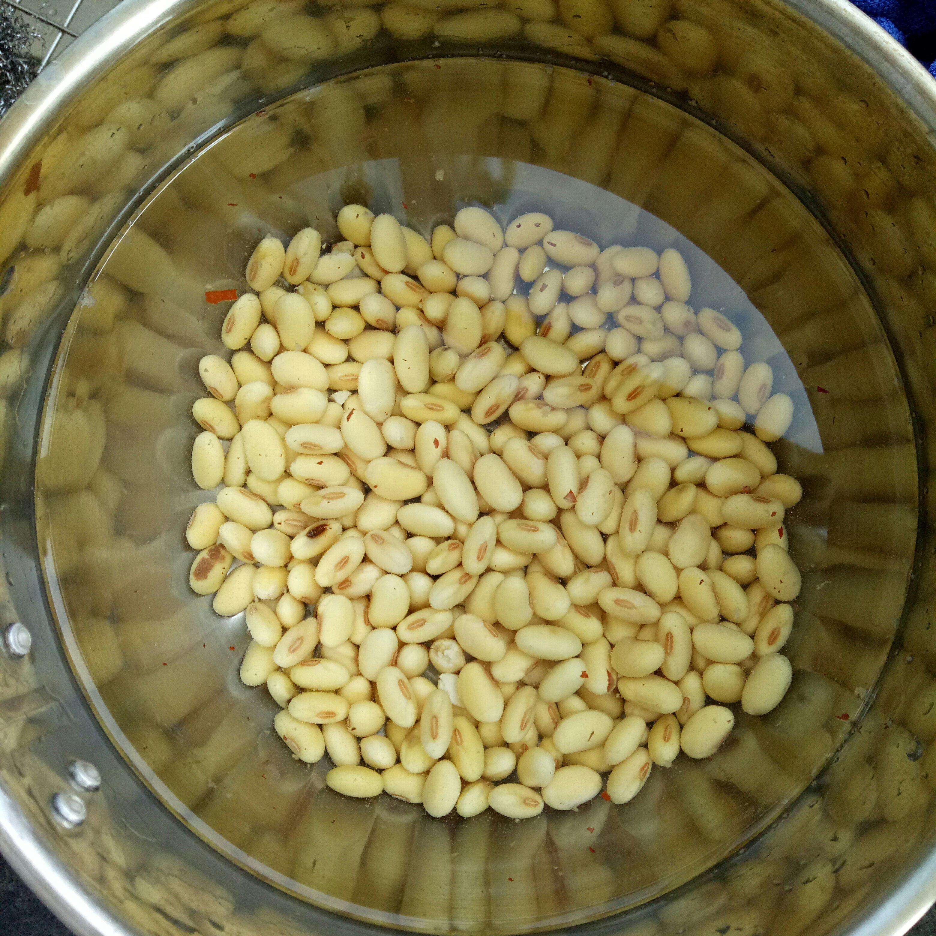 紅棗豆漿的做法 步骤1