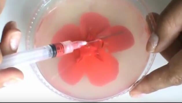 3D果凍花（啫喱花）製作方法，最詳細版。國內做過的人不多呦！的做法 步骤9